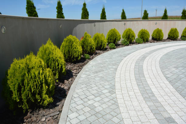 Professional Driveway Pavers in Ridge Wood Heights, FL